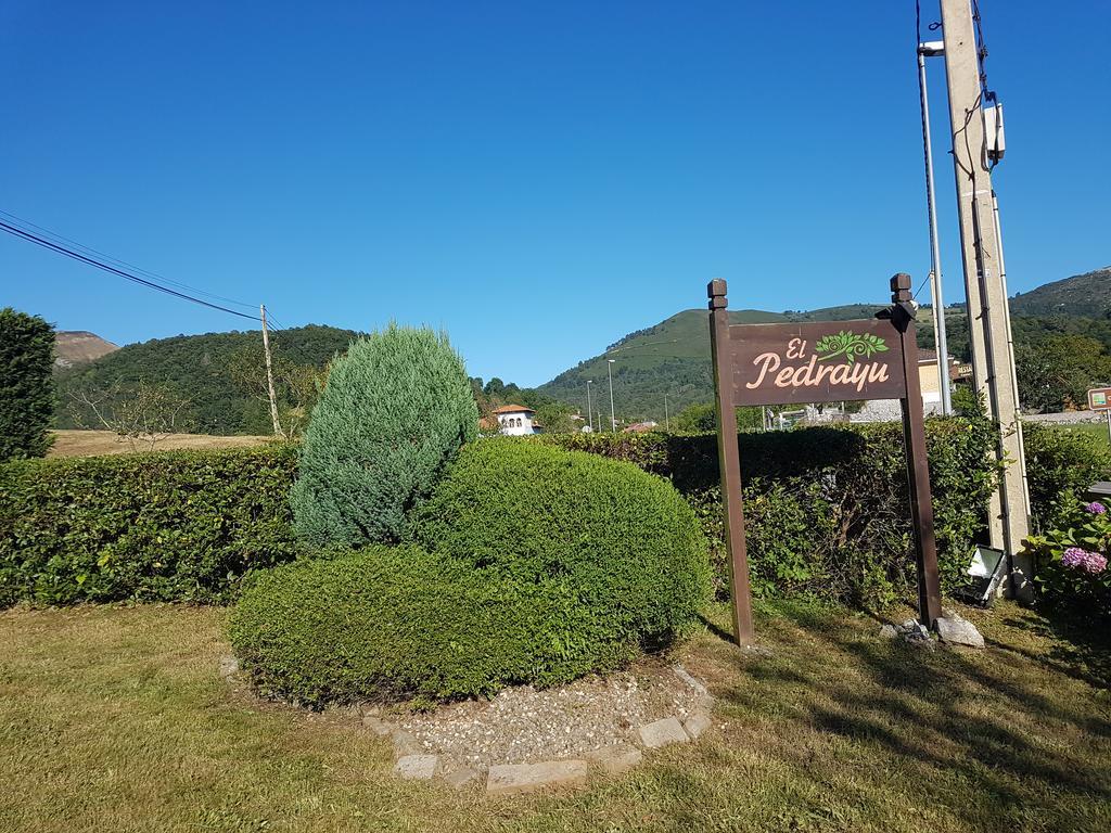 Apartamentos El Pedrayu Onís Exteriér fotografie
